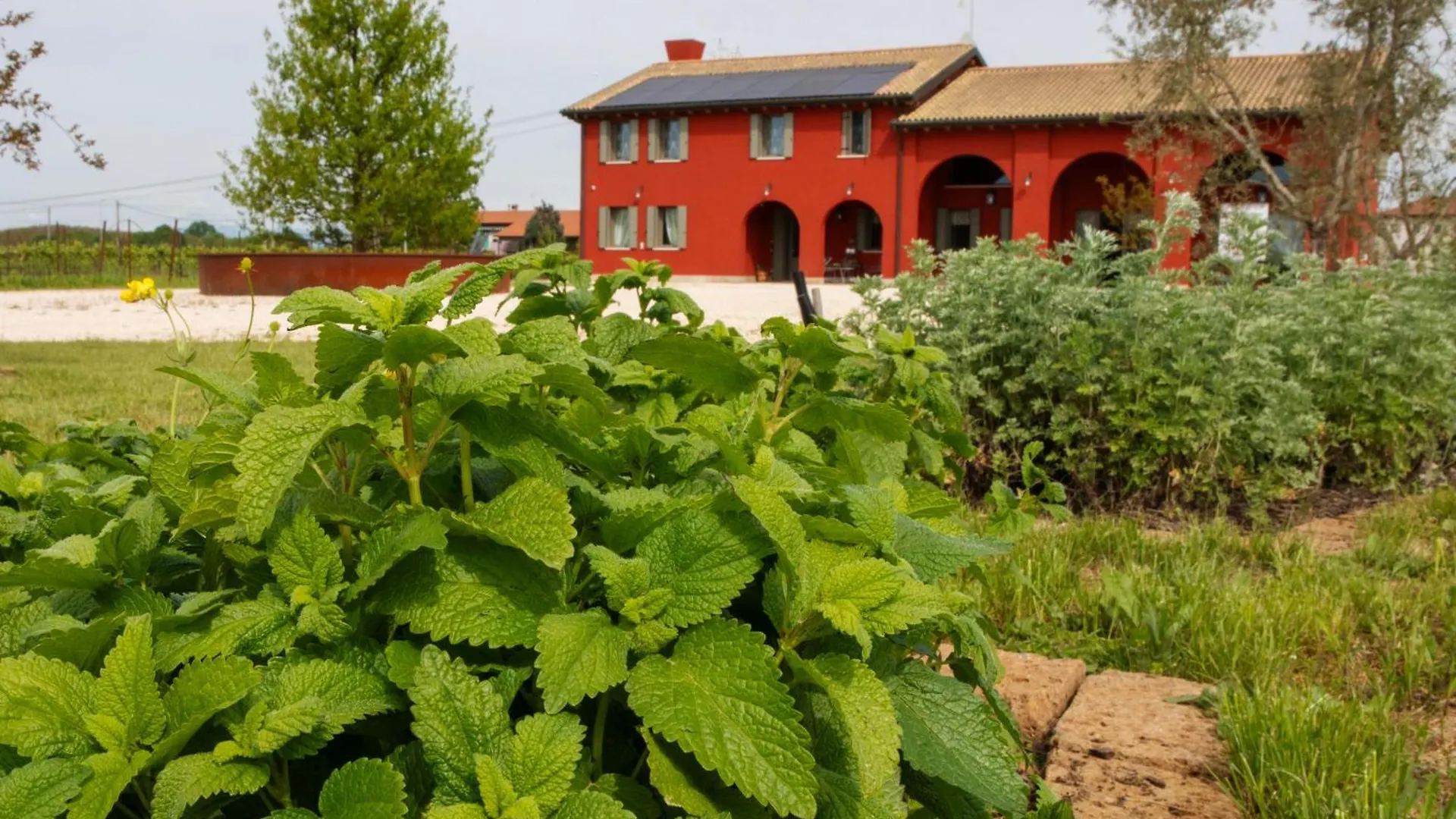 Agriturismo La Rosarnetta Silea