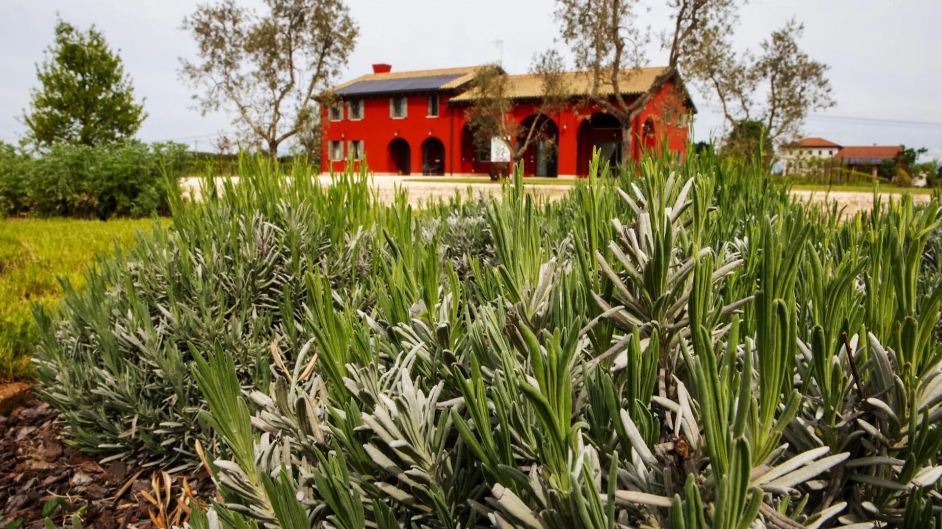 Farm stay Agriturismo La Rosarnetta Silea